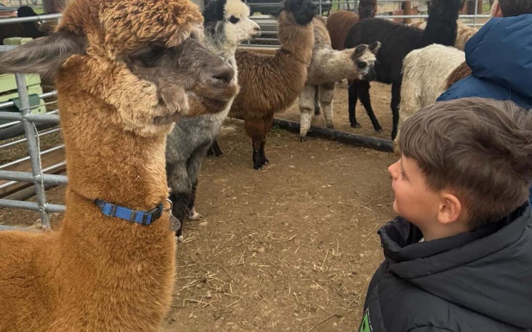 Un rapporto millenario con l’essere umano